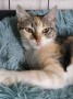 LadyRita (2)